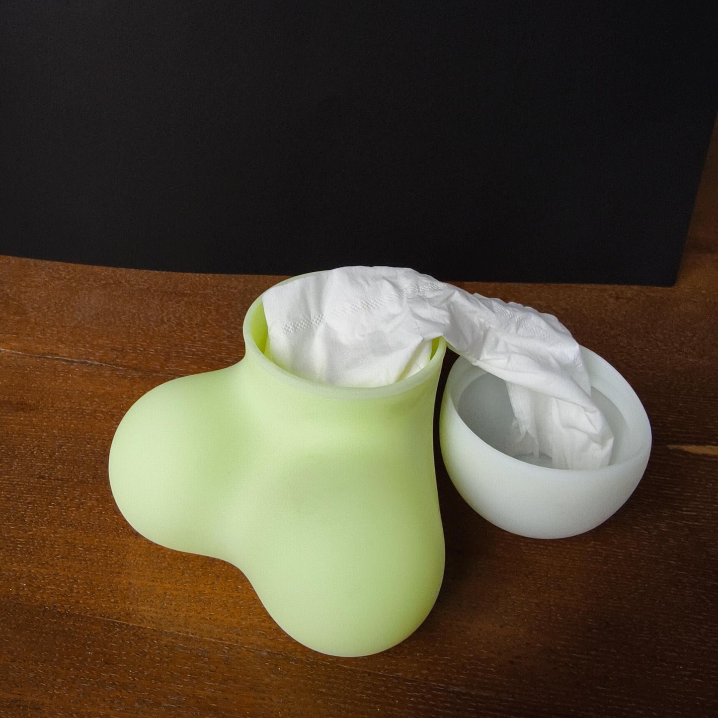 Funny Novelty Tissue Box Cover