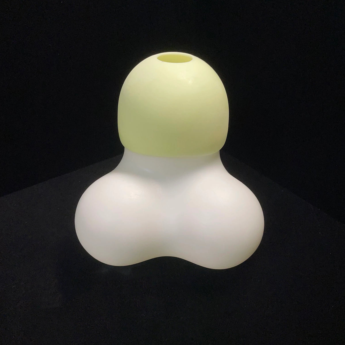 Penis Tissue Box