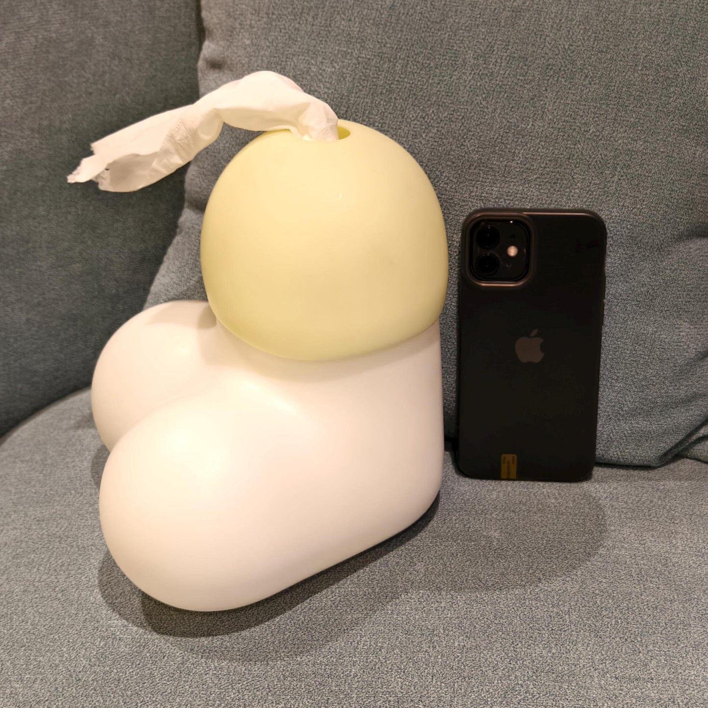 Naughty Penis Tissue Box