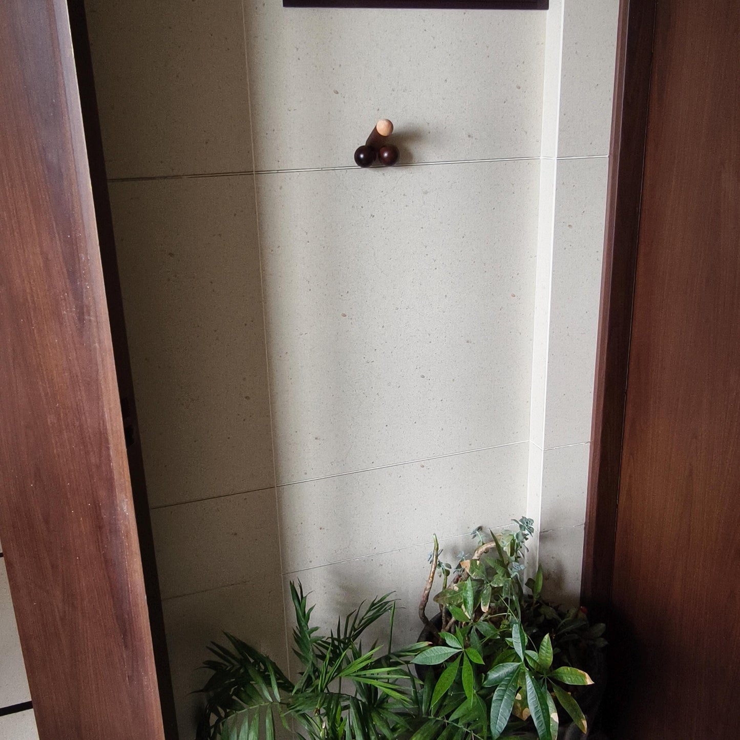 Funny Penis Wall Hook