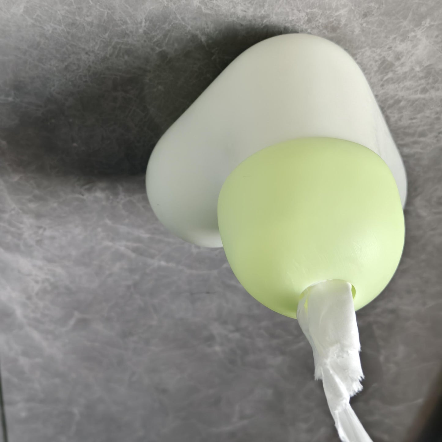 Naughty Penis Tissue Box