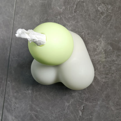 Naughty Penis Tissue Box