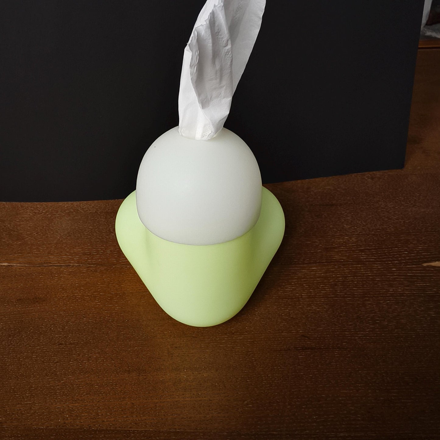 Funny Novelty Tissue Box Cover