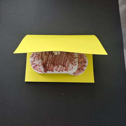 Penis-Themed Greeting Card