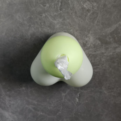 Naughty Penis Tissue Box