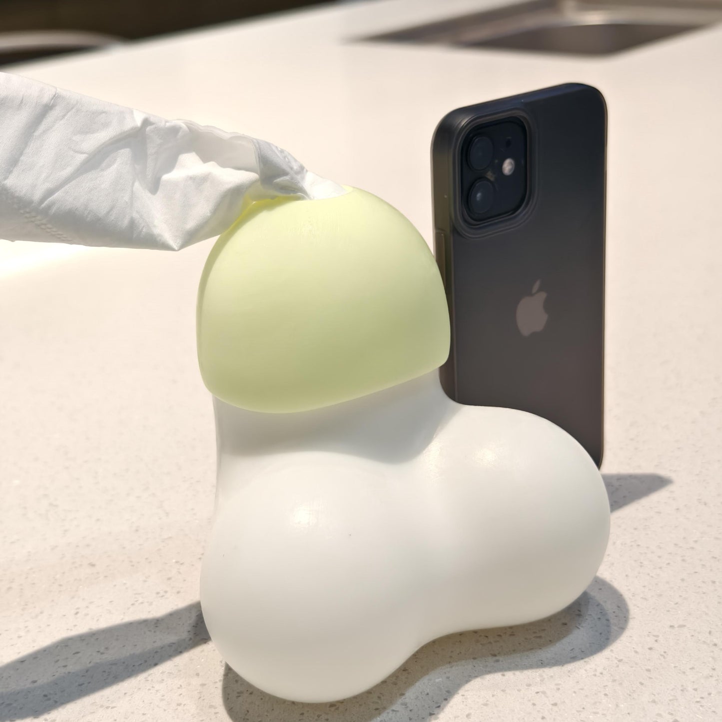Naughty Penis Tissue Box