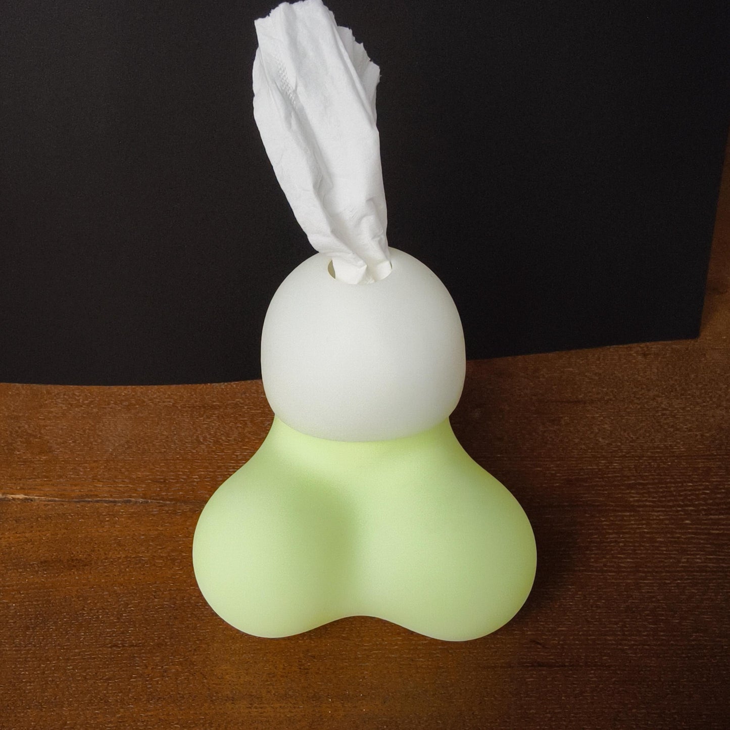 Funny Novelty Tissue Box Cover