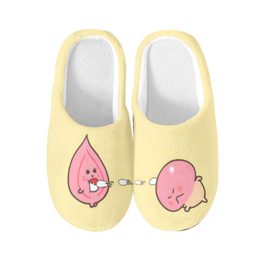 Adult Humor Slippers
