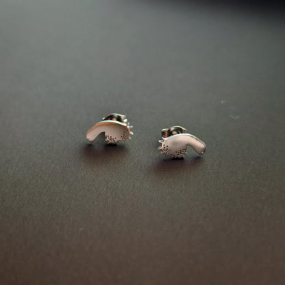 Titanium Steel Penis Earrings